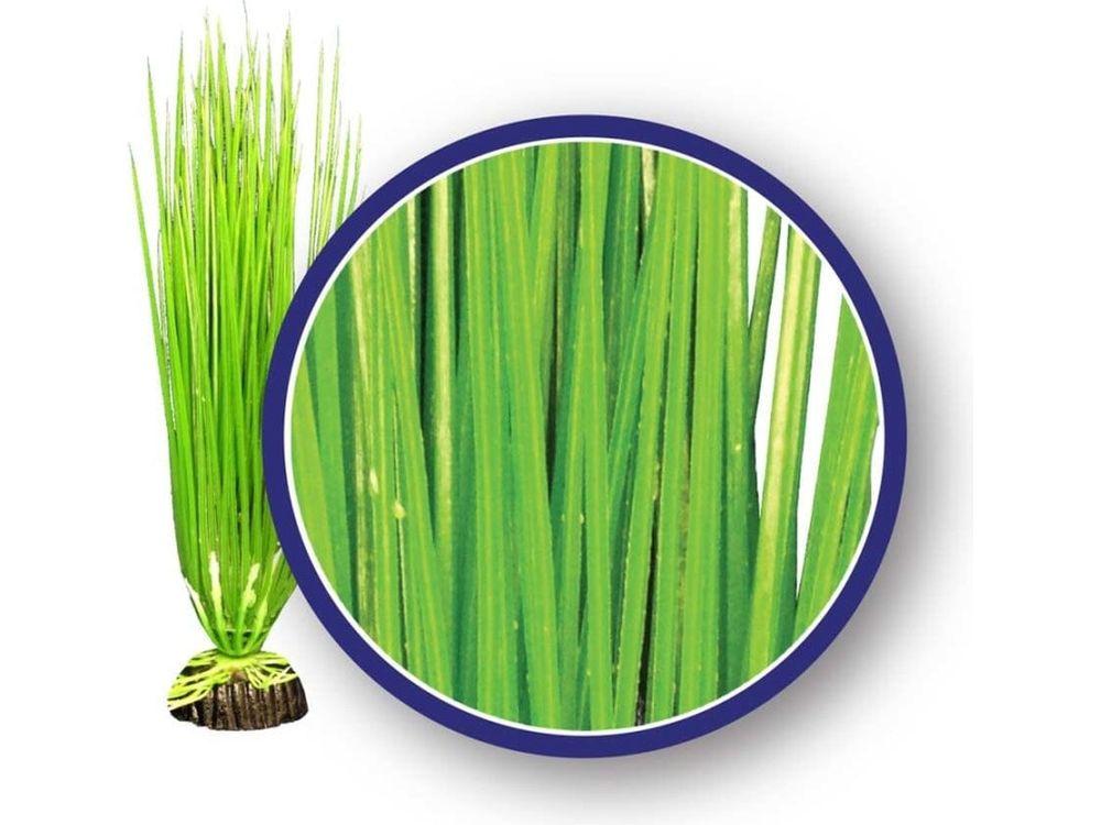 Weco Products Freshwater Series Asian Hairgrass Aquarium Plant Green, 1ea/12 in Aquatic Decor Weco