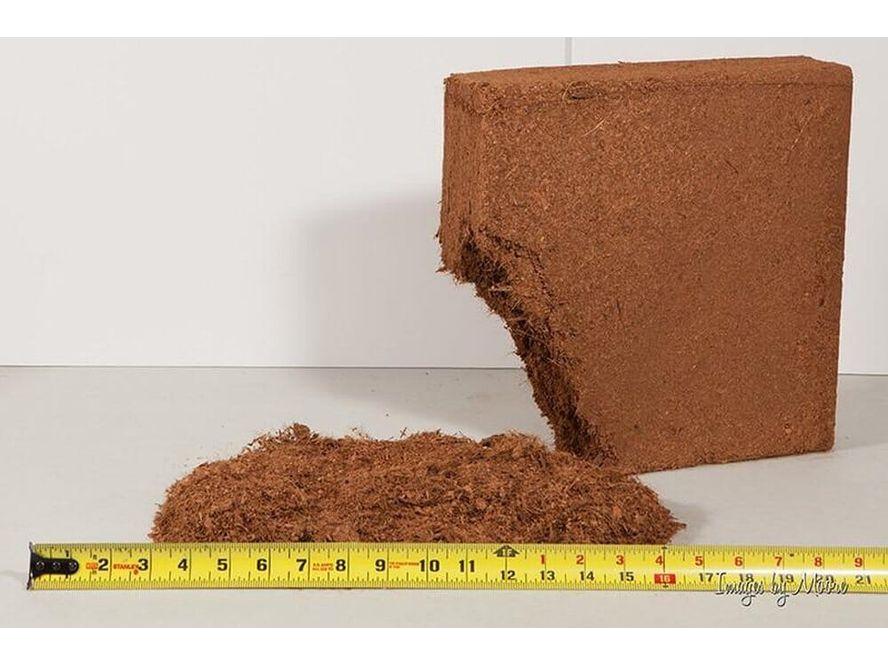 Premium Pet Beddingâ?¢ Soil supplies DubiaRoaches.com