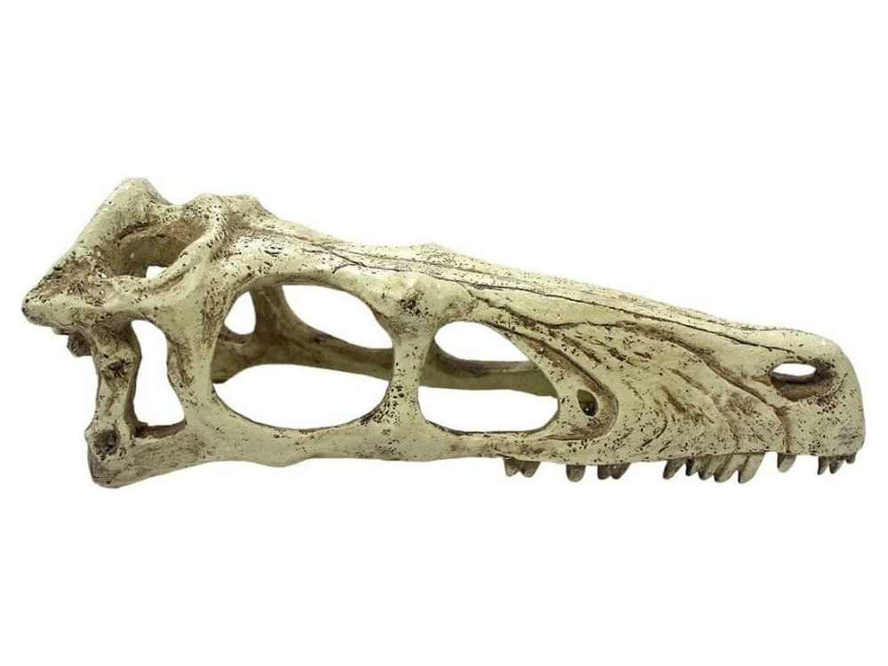 Komodo Raptor Skull Reptile Hideout Tan LG Komodo