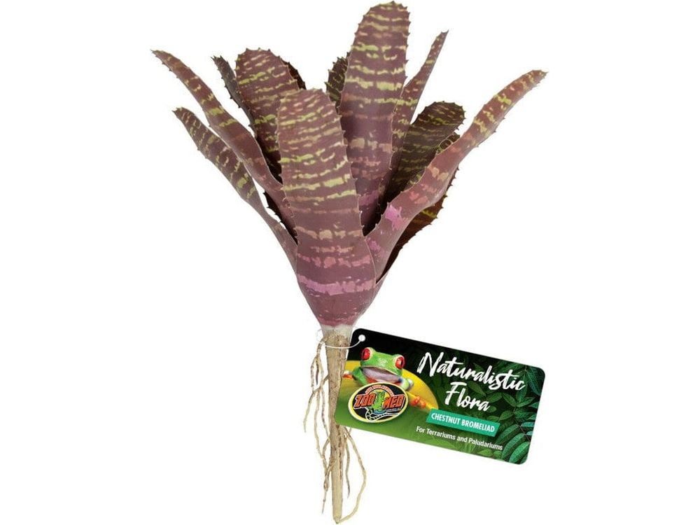 Zoo Med Naturalistic Flora Chestnut Bromeliad Terrarium Plant Purple, Tan, 1ea Animals & Pet Supplies > Pet Supplies > Fish Supplies Zoo Med
