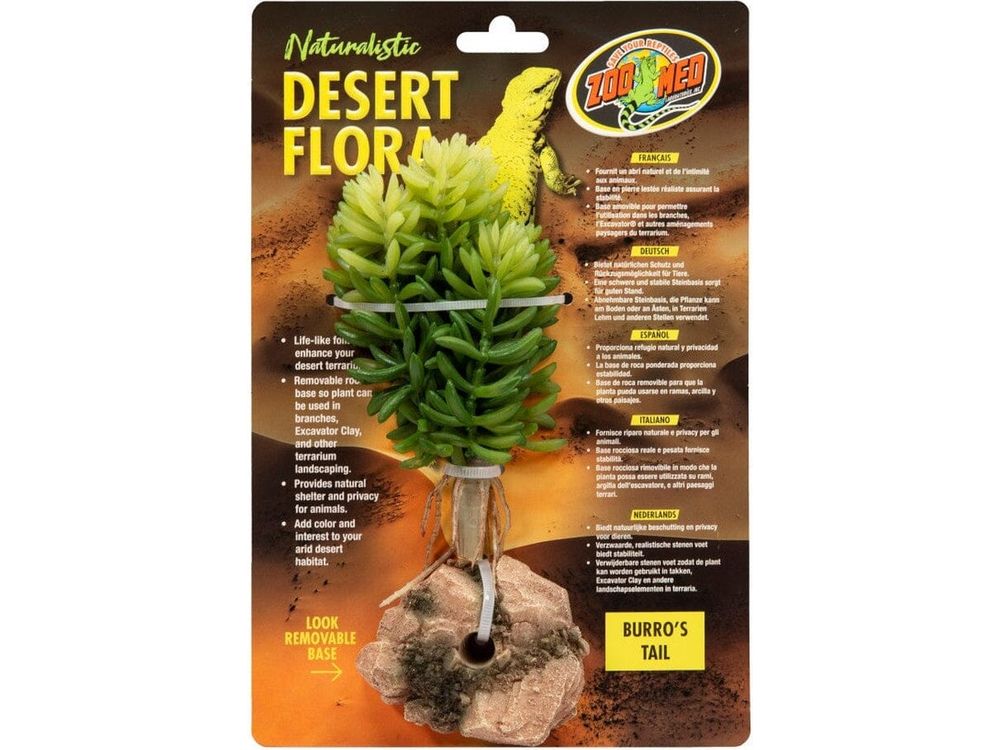 Zoo Med Desert Flora Plant Burro's Tail, 1ea/One Size Animals & Pet Supplies > Pet Supplies > Fish Supplies Zoo Med