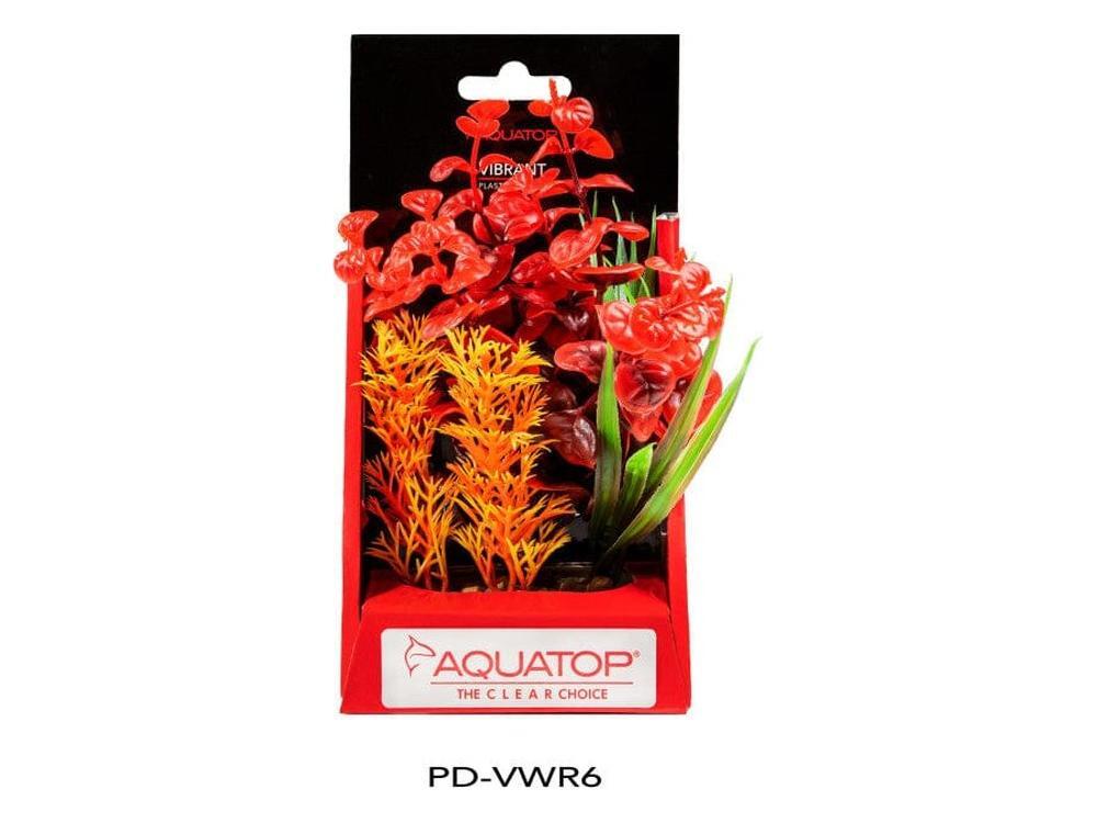 Aquatop Vibrant Wild Plant Red, 1ea/6 in