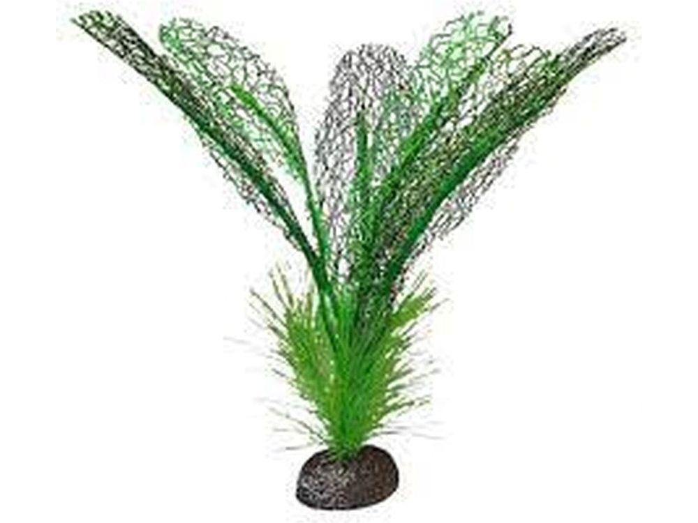 Fluval Betta Premium Plants, Madagascar Lace Plant Fish Supplies Fluval