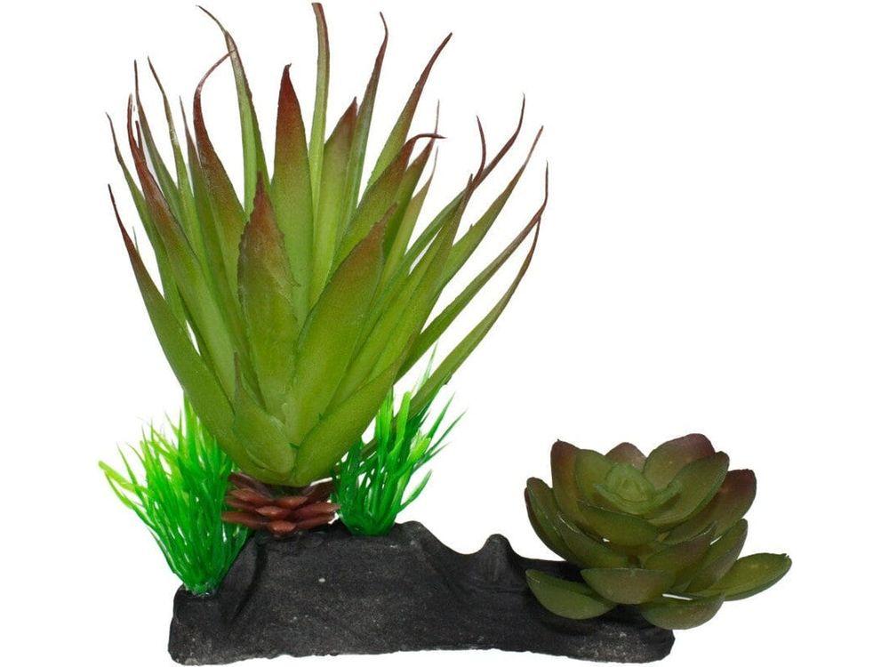 Komodo Succulent Plant 1ea/One Size reptile supplies Komodo