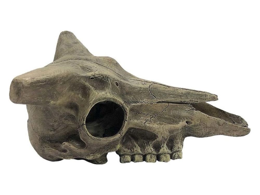 Komodo Deer Skull Reptile Hideout Gray One Size Komodo
