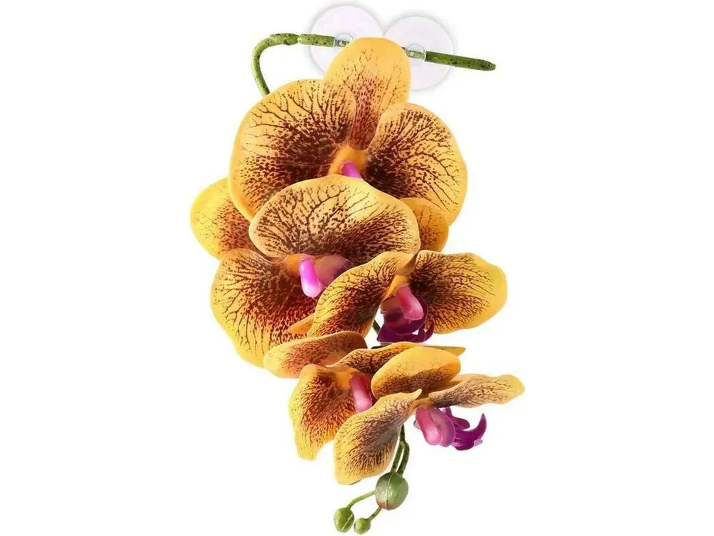 Pangea Hanging Orchid Yellow Animals & Pet Supplies Pangea