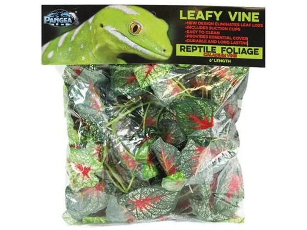 Pangea Leafy Vine Caladium (6ft) Animals & Pet Supplies Pangea