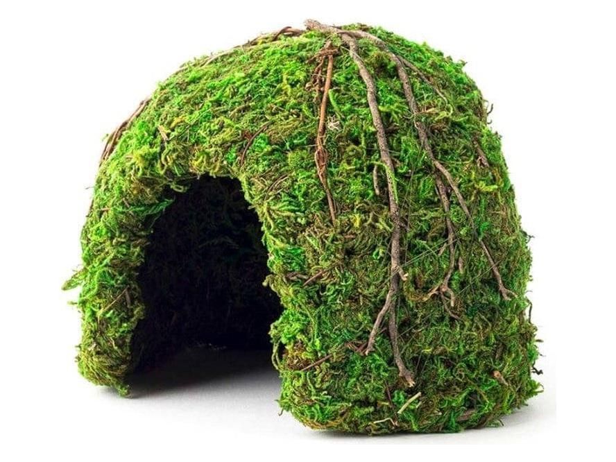 Galapagos Mossy Dome Terrarium Hideaway Fresh Green, 1ea/6 in