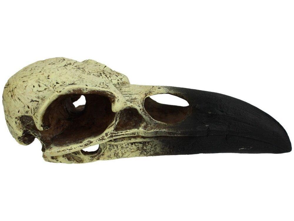 Komodo Raven Skull Hideout LRG Komodo