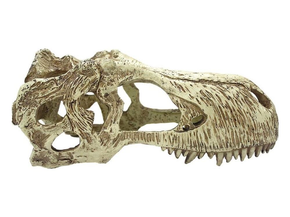 Komodo T-Rex Skull Reptile Hideout Tan XL Komodo