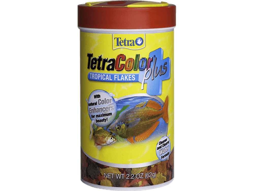 Tetra TetraColor+ Tropical Flakes Fish Supplies Tetra