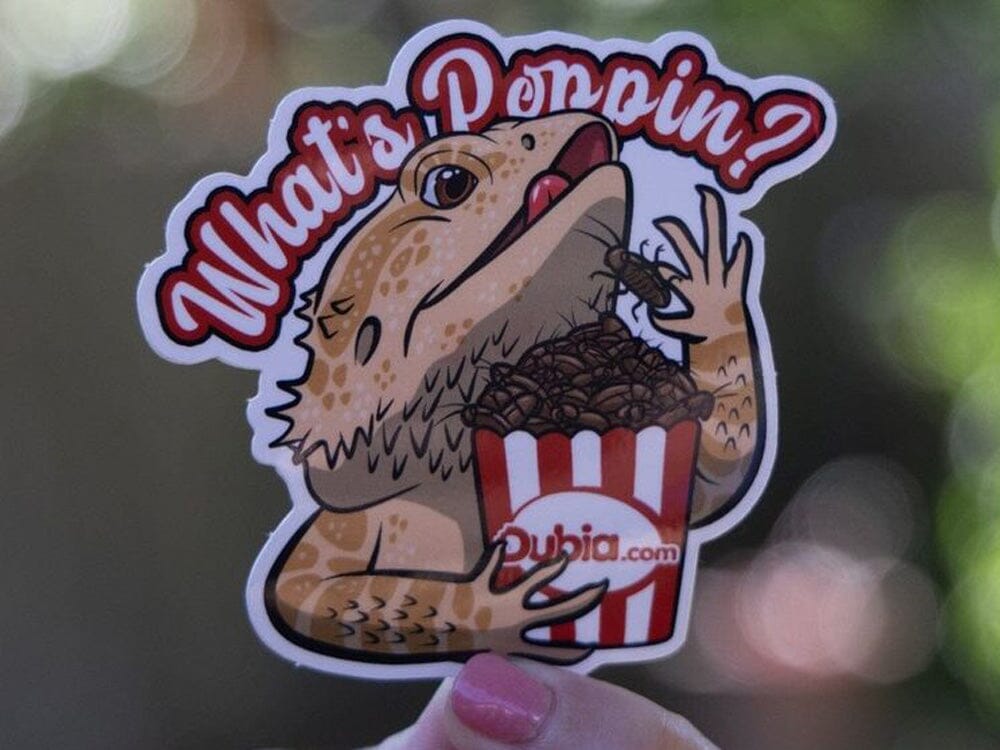 What's Poppin Sticker