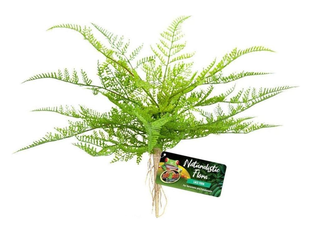 Zoo Med Naturalistic Flora Lace Fern Terrarium Plant Green, Tan, 1ea Animals & Pet Supplies > Pet Supplies > Fish Supplies Zoo Med