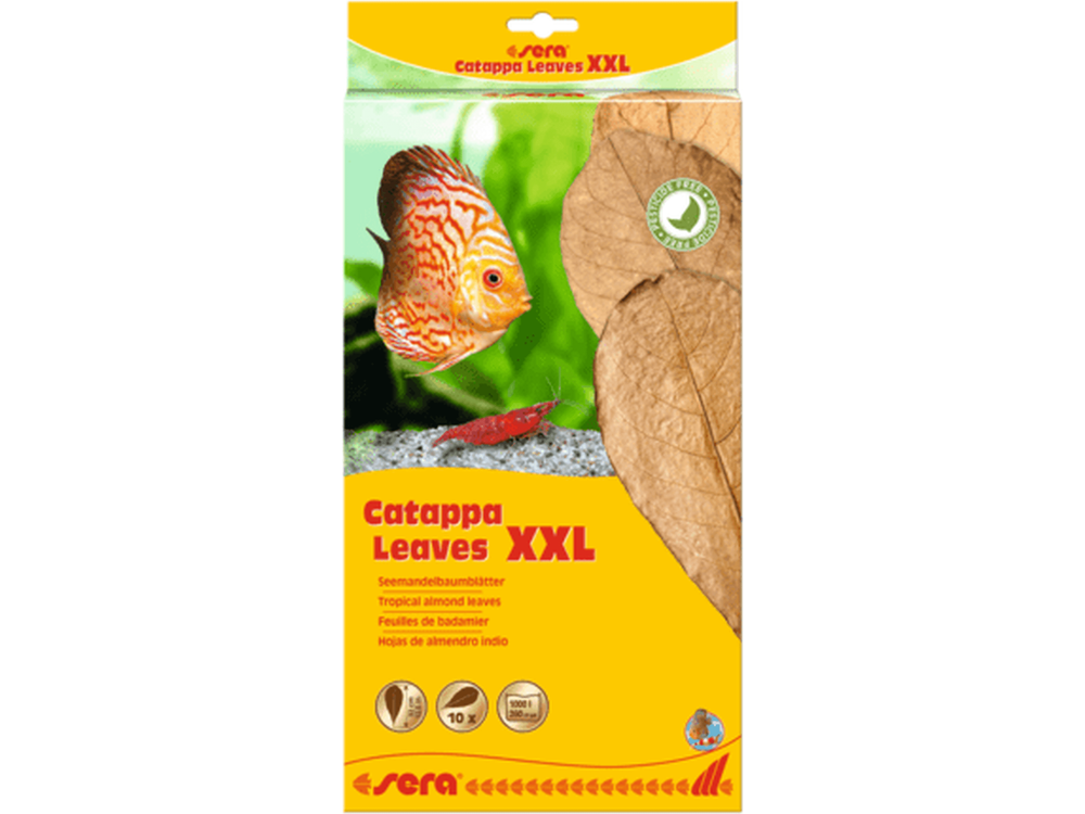 Sera Catappa Leaves, XXL Aquarium Additives Sera