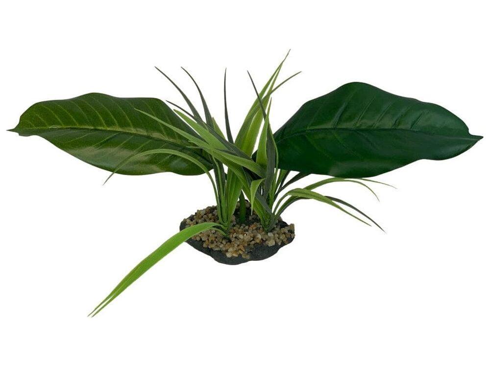 Komodo Woodland Canopy Plant 1ea/42 cm reptile supplies Komodo