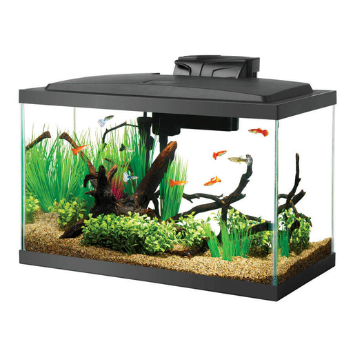 Aqueon LED Aquarium Kit 10G