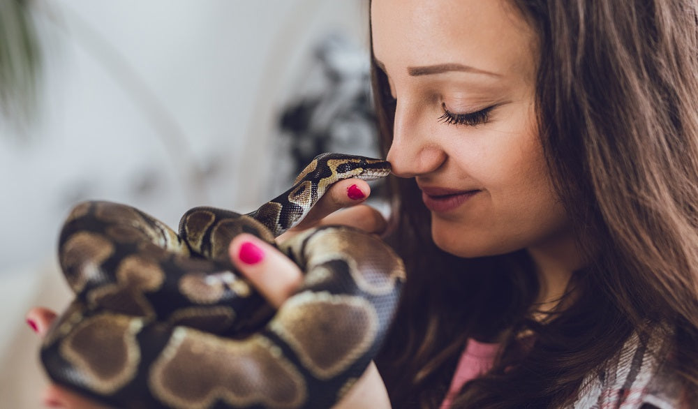 14 MORE Reptile Care Myths — DEBUNKED!