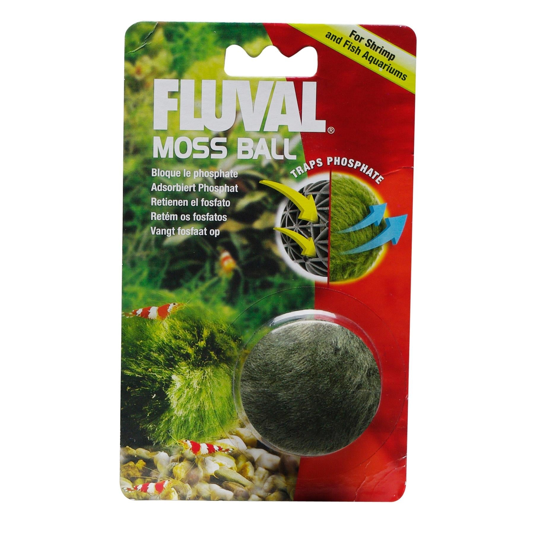 Fluval Moss Ball Fish Supplies Fluval 