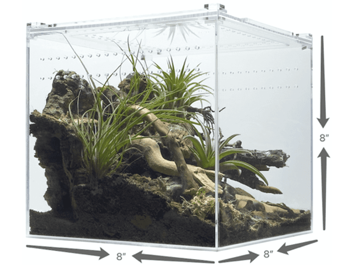 Herpcult Acrylic Enclosure Medium 8"x8"x8" Herpcult 