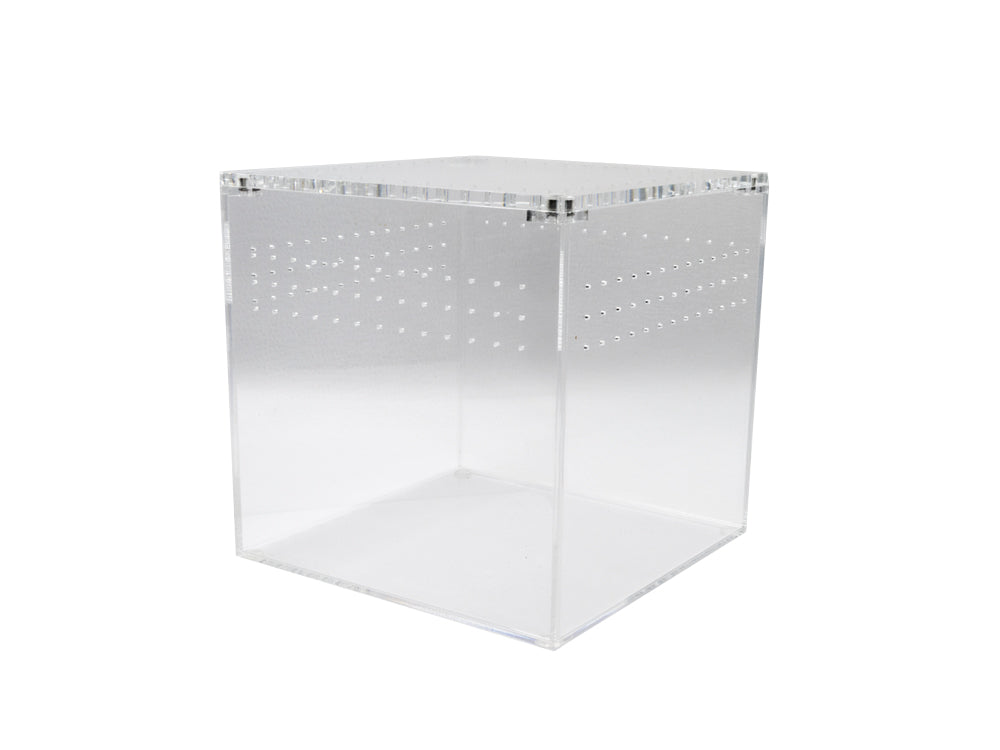 Acrylic Habitat 6x6x6