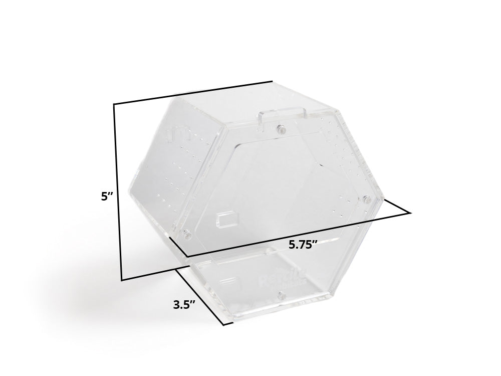 Acrylic Enclosure Hexagon (Small)