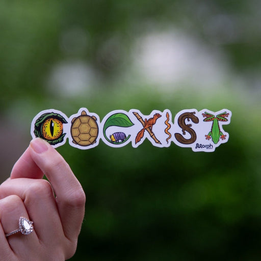 Coexist Sticker Color