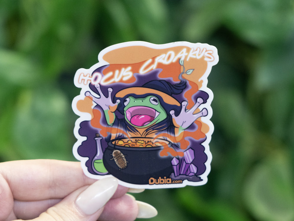 Hocus Sticker