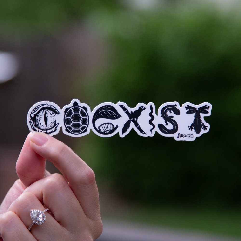 Coexist Sticker B&W