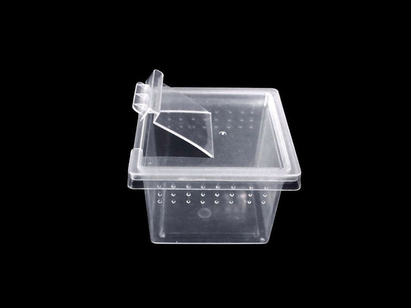 Herpcult X-Small Breeding Box Herpcult 
