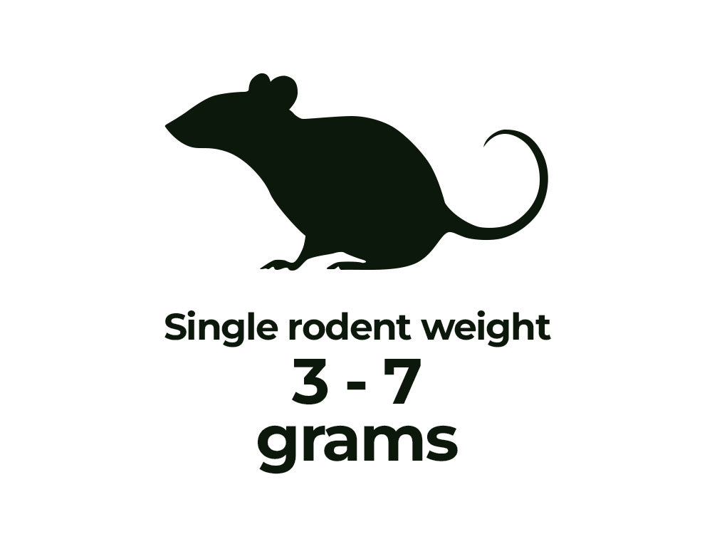 Rodents - Shipping Included