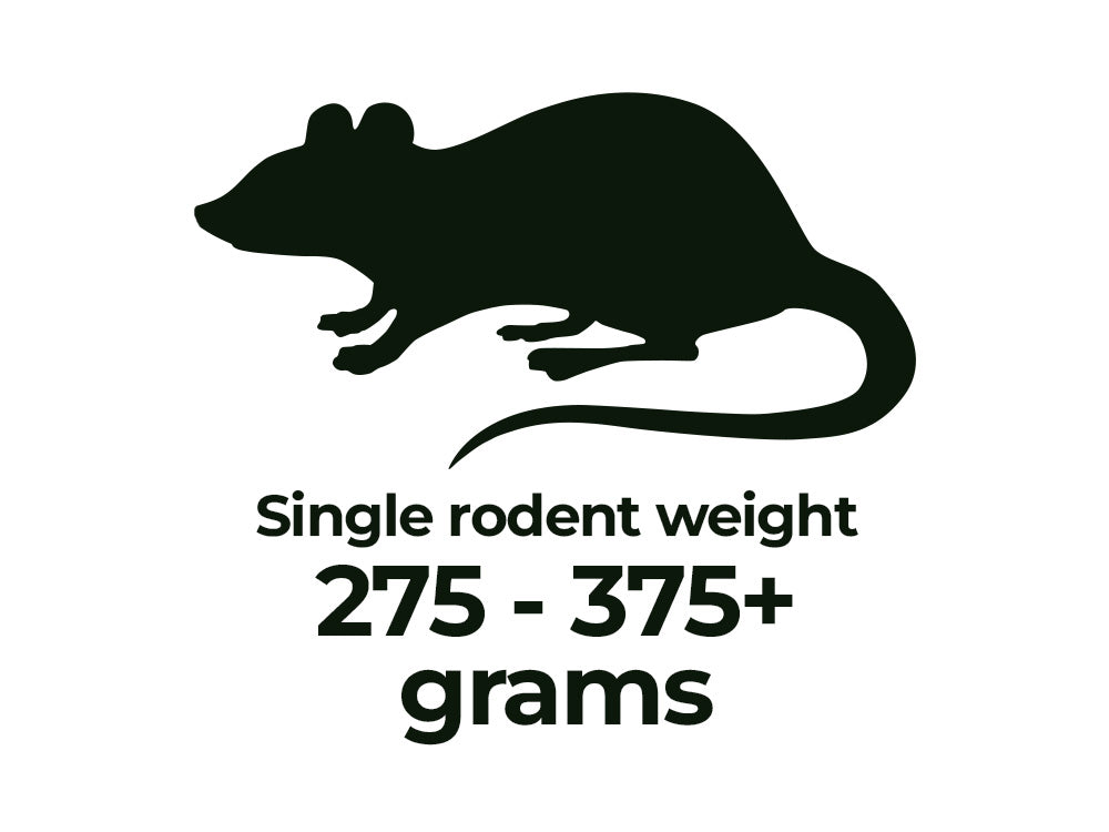 Rodents - Shipping Included
