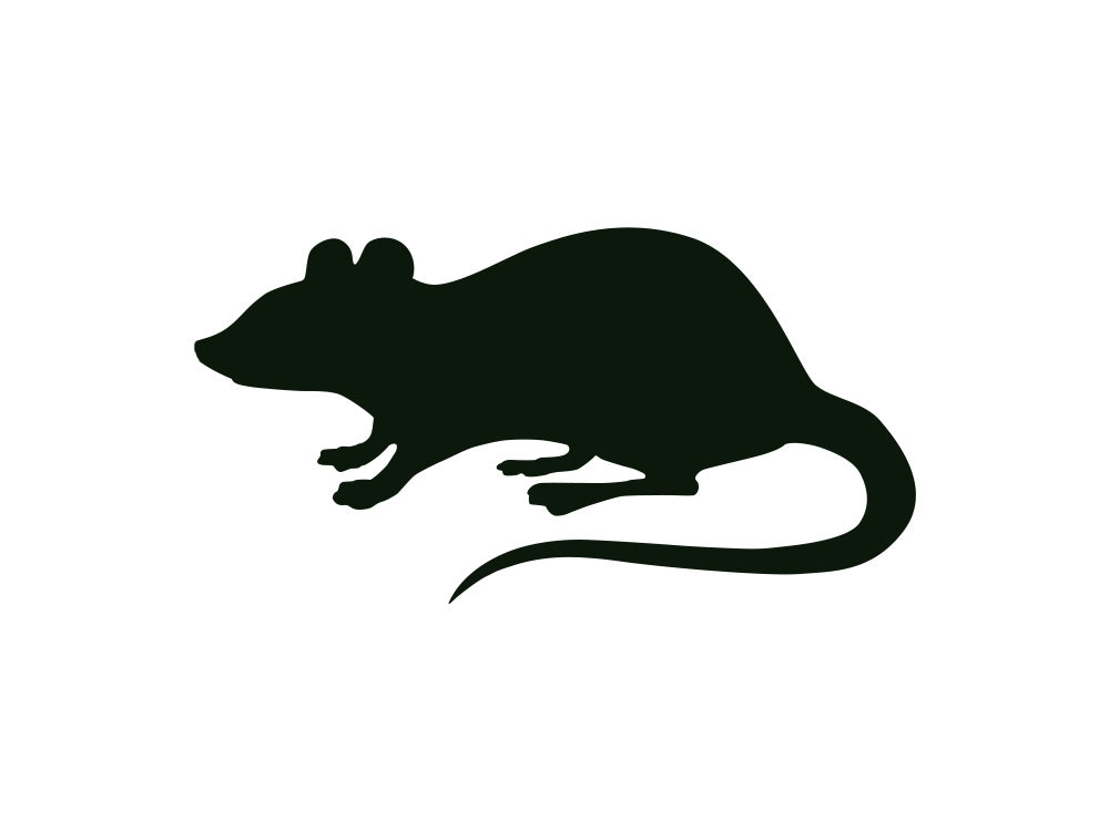 Rodents - Shipping Included