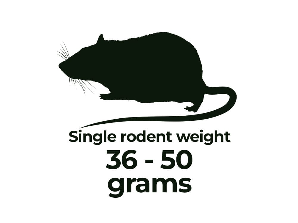 Frozen Rodents FREE SHIPPING