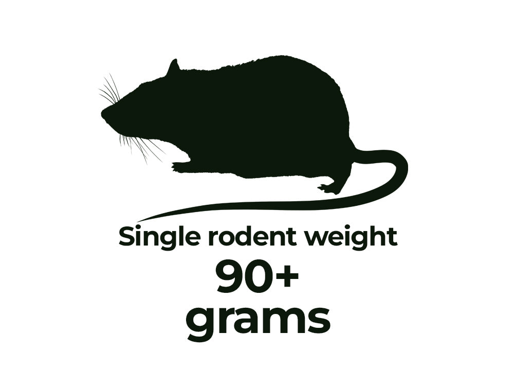 Rodents - Shipping Included