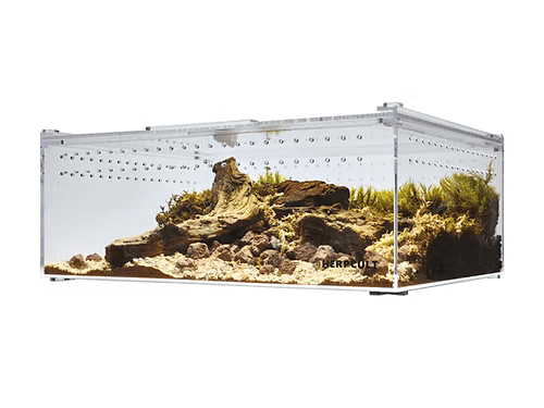 Herpcult Acrylic Enclosure XLarge-Flat Clear Top 16"x12"x6"