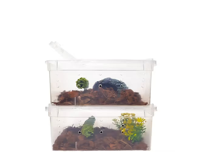 Herpcult Small Breeding Box