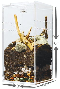 Herpcult Acrylic Enclosure Mini-Tall 3"x3"x6" Herpcult 