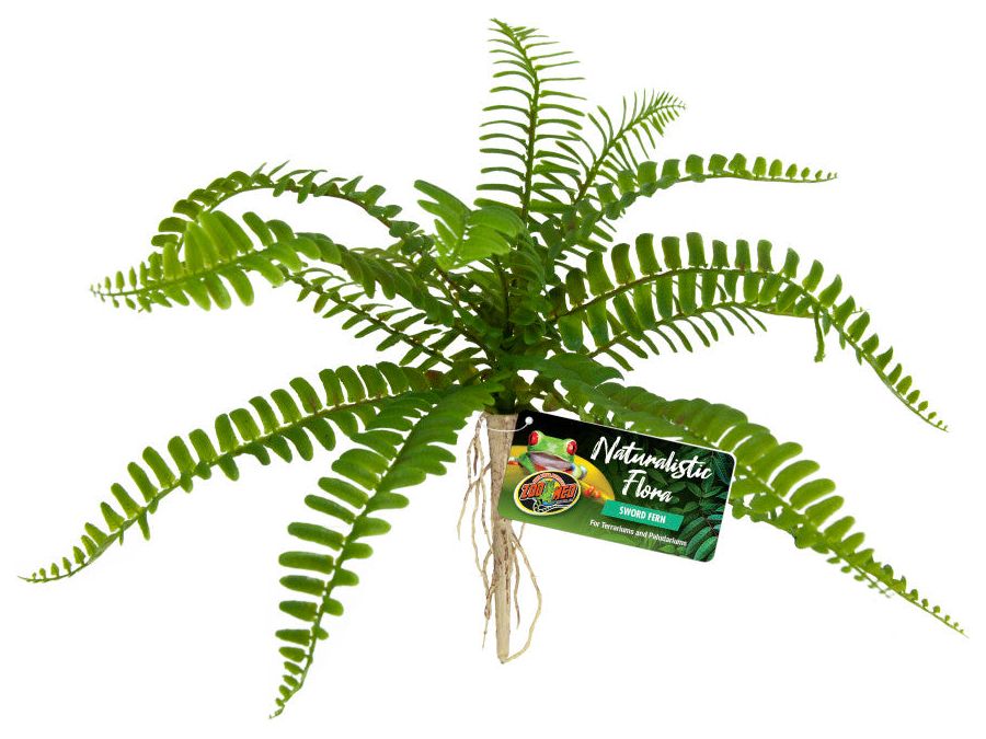 Zoo Med Naturalistic Flora Sword Fern Terrarium Plant Green, Tan, 1ea