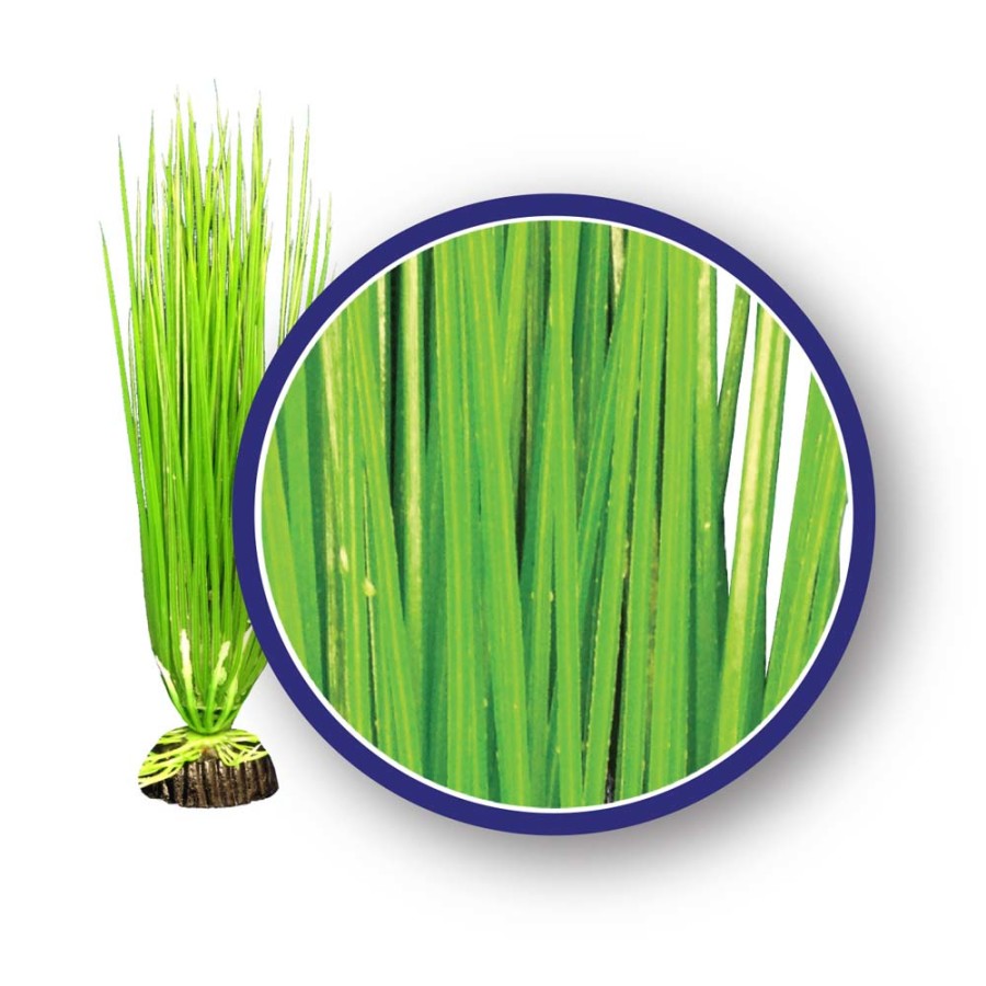 Weco Products Freshwater Series Asian Hairgrass Aquarium Plant Green, 1ea/12 in