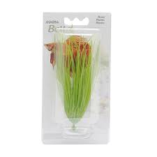 Marina Betta Plants, Hairgrass
