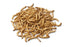 50 FREE Medium Mealworms