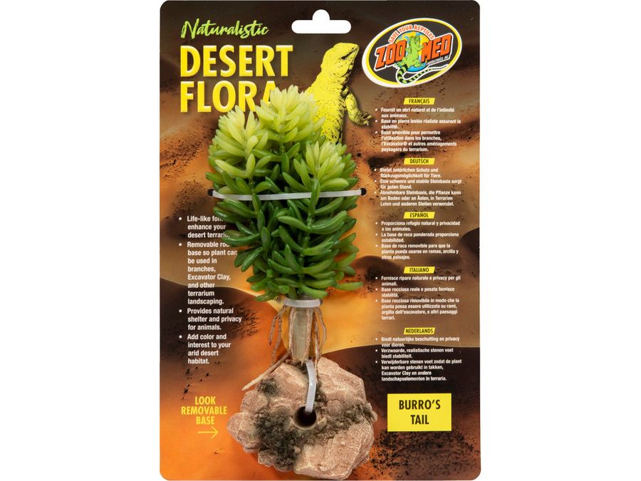 Zoo Med Desert Flora Plant Burro's Tail, 1ea/One Size