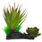 Komodo Succulent Plant 1ea/One Size