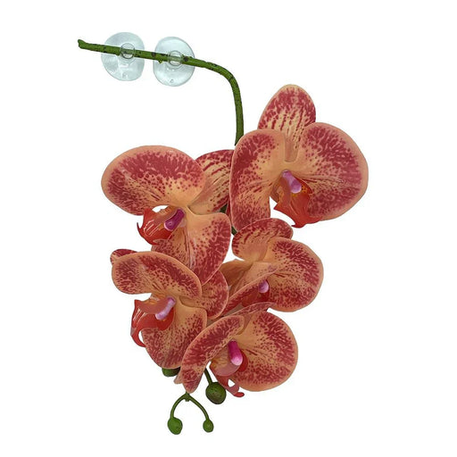 Pangea Hanging Orchid Orange & Yellow