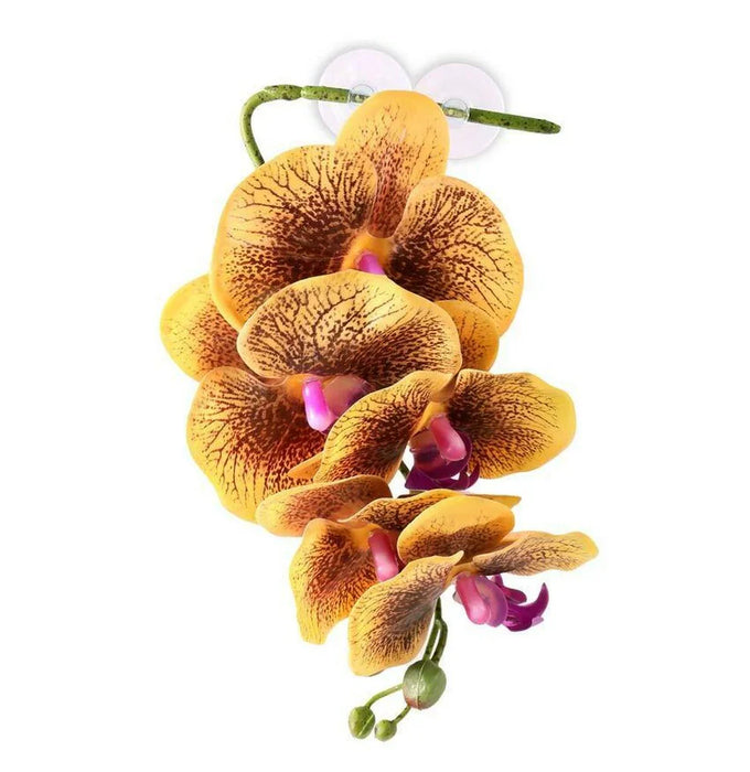 Pangea Hanging Orchid Yellow