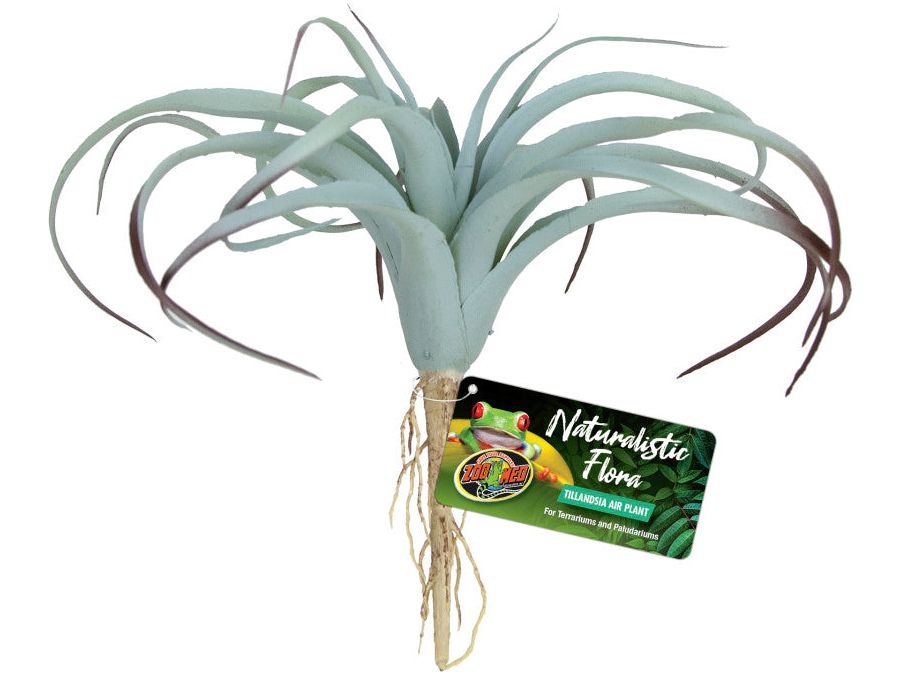 Zoo Med Naturalistic Flora Tillandsia Air Plant Terrarium Plant Gray, Tan, 1ea