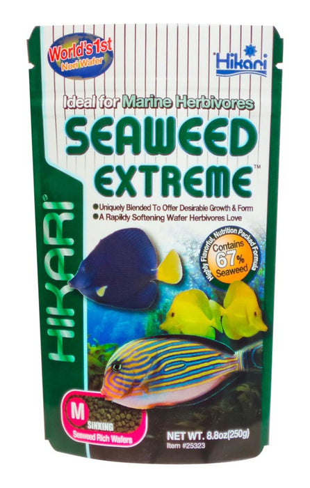 Hikari Seaweed Extreme Medium Wafer Fish Food 8.8 oz