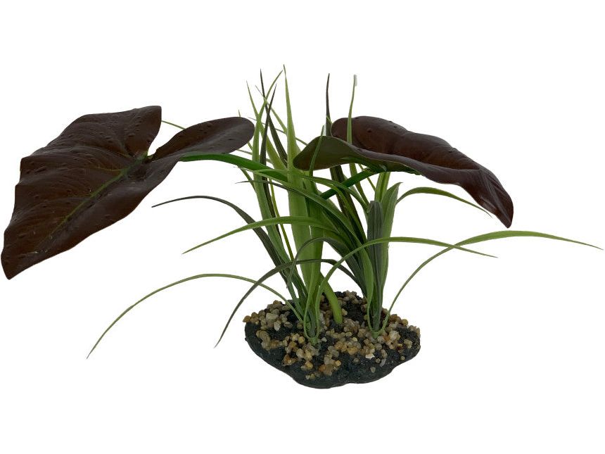 Komodo Rainforest Canopy Plant 1ea/10 in