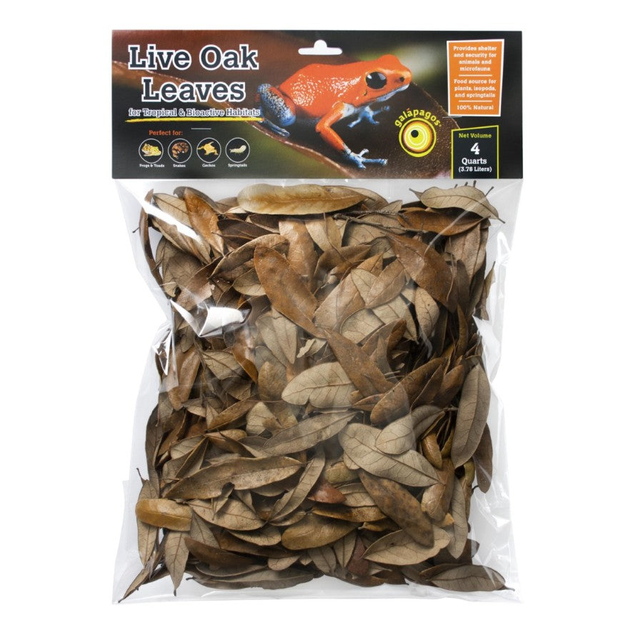 Galapagos Natural Live Oak Leaf Litter 1ea/4 qt Galapagos 