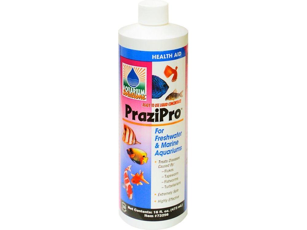 Aquarium Solutions Prazipro Liquid Treatment 1ea/16 fl oz